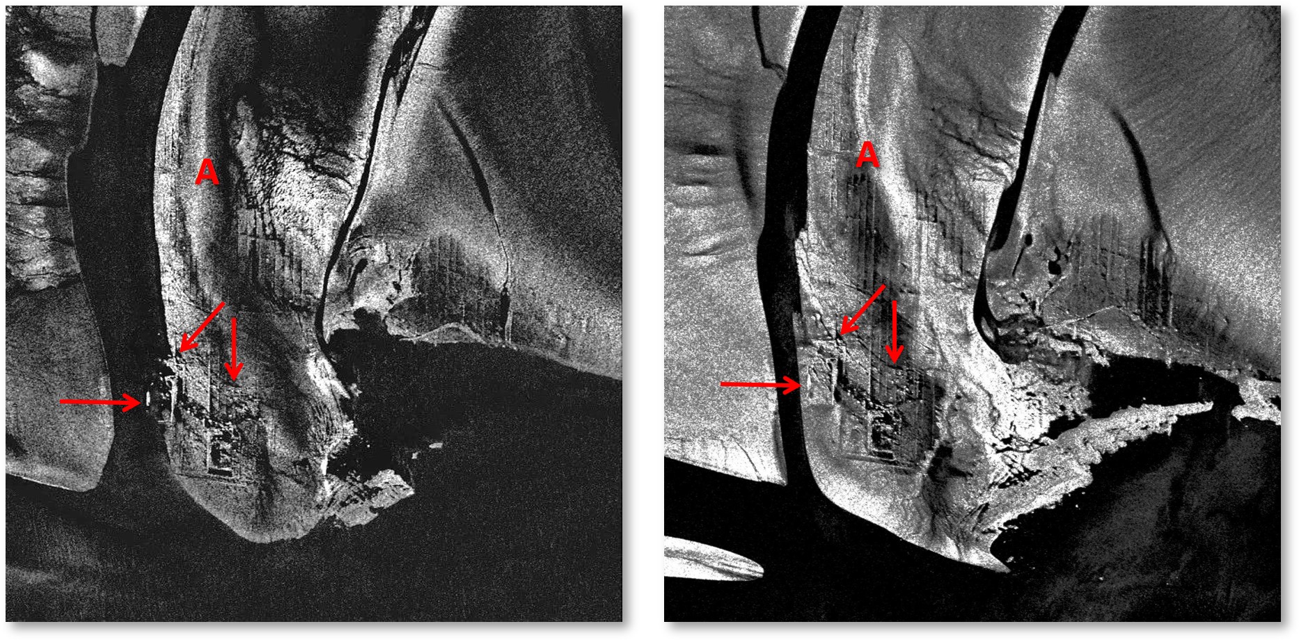 SAR images of the area of interest