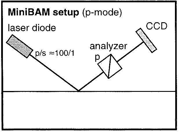 Set-up of a Brewster Angle Microscope