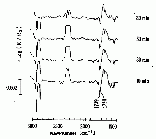 IRRAS results of a PME monolayer